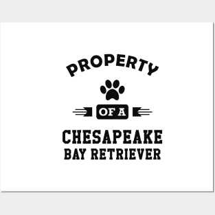 chesapeake bay retriever - Property of a chasapeake bay retrievers mom Posters and Art